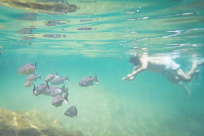 Best in Class: Private Snorkeling Xpedition - Should you book Primitive Xpeditions private snorkeling xpedition?