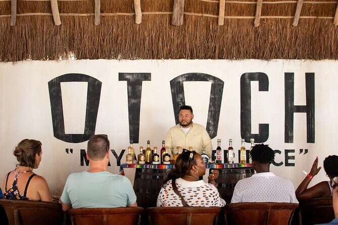 Best Island tour (dowtown, Beach, mayan Park & tastings) - Price and value check: what $69 buys you in real time
