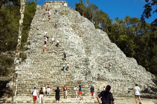 Birdwatching in Coba from Tulum - Shared Group Tour - Key Highlights Worth Getting Excited About