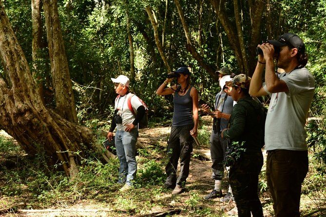 Birdwatching in Coba from Tulum - Shared Group Tour - Stop 2: Cobá Village and Lagoon Birdwatching (1 Hour)