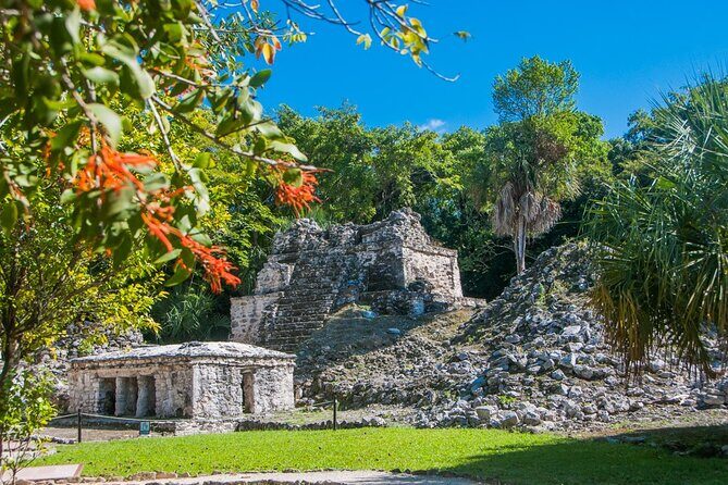 Birdwatching in Sian Ka´an Muyil from Tulum - Shared Group Tour - Price and Value: What $119 Really Covers (and What Costs Extra)