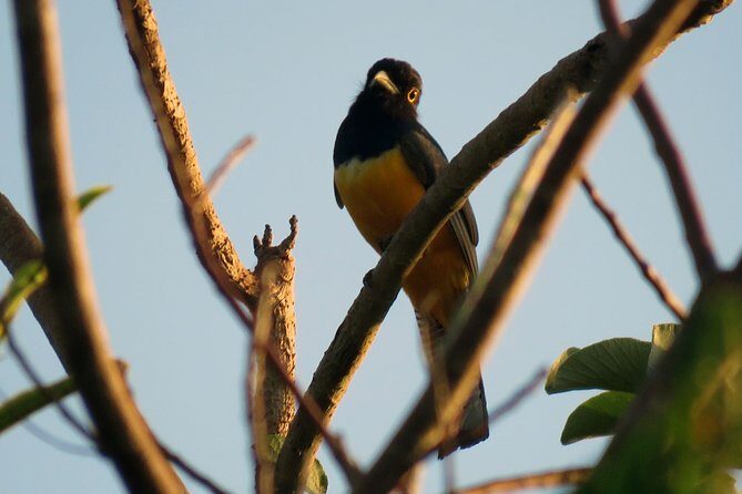 Birdwatching Sian Ka'an Biosphere Reserve - Price and value: what you’re really paying for at $165