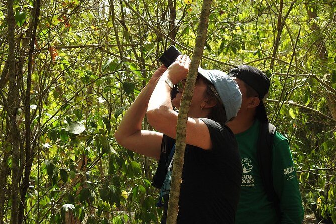 Birdwatching Sian Ka'an Biosphere Reserve - What species counts mean in real life