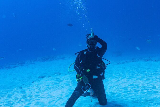 Bull Shark Dive in Playa del Carmen – Dive Machine Experience - The second stop on the reef: fish, turtles, stingrays, and coral