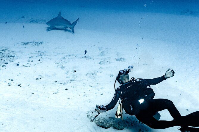 Bull Shark Dive in Playa del Carmen – Dive Machine Experience - Meeting at Dive Machine and getting set up with less stress