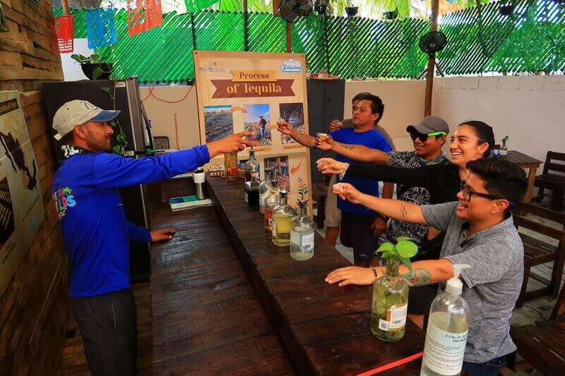 Cancún: Beachside Tacos & Town Tour with tequila tasing - Beachside seafood tacos to start: eat first, then walk