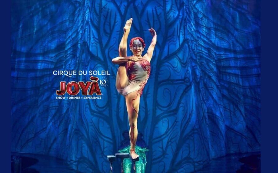 Cancún: Cirque du Soleil JOYÀ Ticket - Key highlights