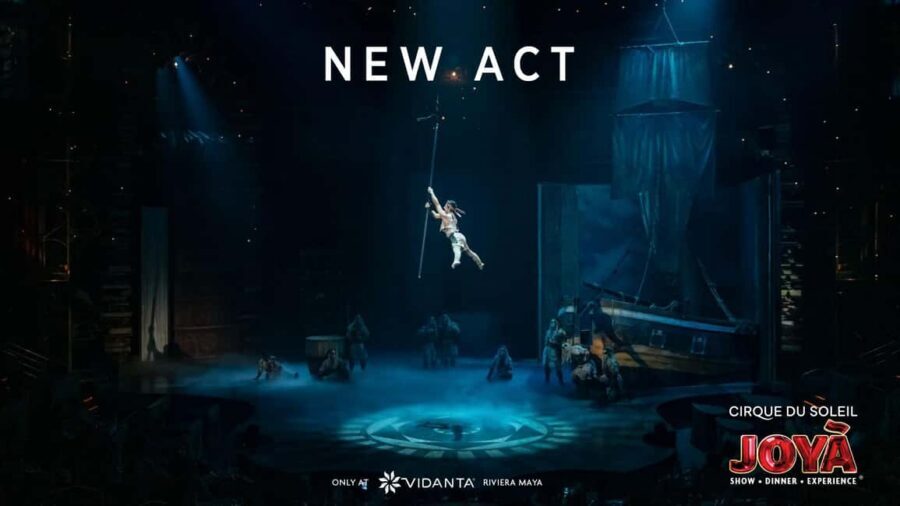 Cancún: Cirque du Soleil JOYÀ Ticket - Service and Atmosphere: What Makes the Night Feel Easy