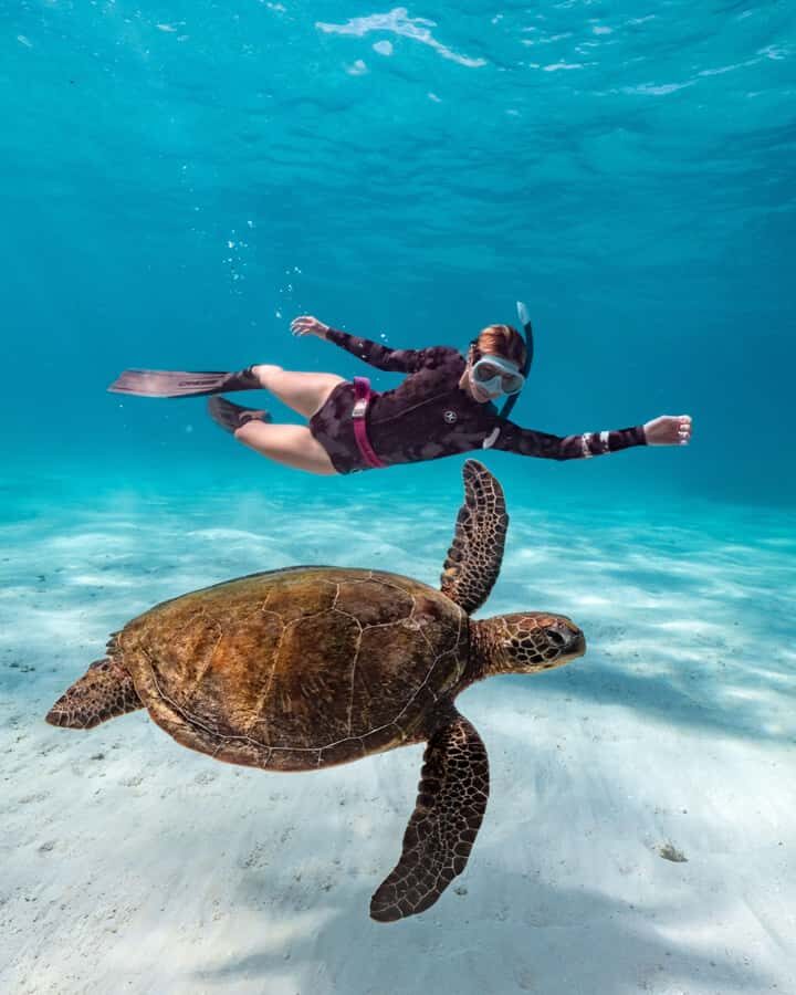 Cancun: Explore Tulum, swim with turtles, cenote, and snorkel in caves - Akumal snorkeling for sea turtles: what the rules mean for your experience