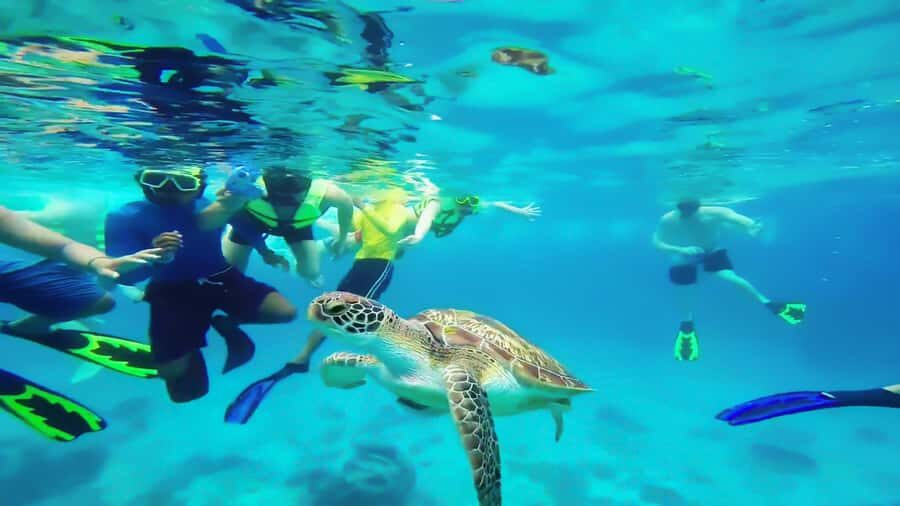 Cancun: Explore Tulum, swim with turtles, cenote, and snorkel in caves - Buffet lunch in the cenote area: fuel for a long day