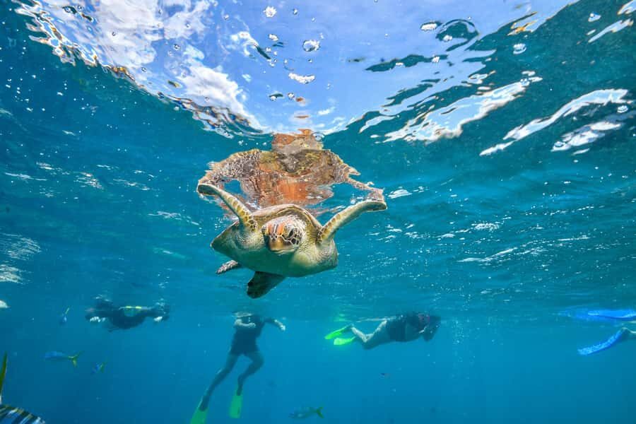 Cancun: Explore Tulum, swim with turtles, cenote, and snorkel in caves - Transport timing from Cancun or Playa del Carmen: where the 13 hours go