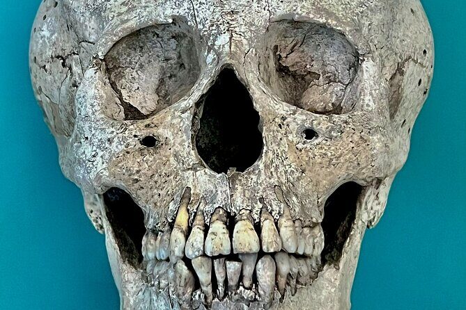 Cancun gems: Mayan Museum, Beach watching, Local Market, & Lunch - Mayan Museum of Cancun: gardens, ceiba trees, and alebrijes
