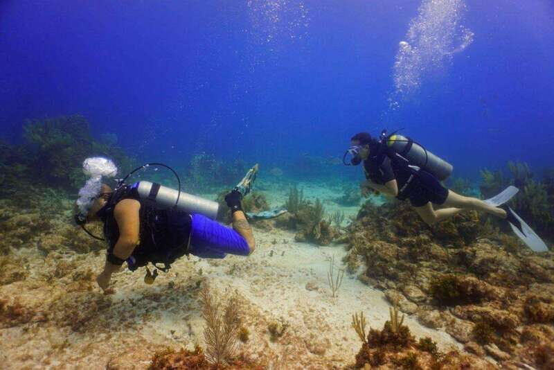 Cancun: MUSA Diving for certified divers morning dive trip - Inside MUSA: The Underwater Museum of Art and What You’ll Actually See