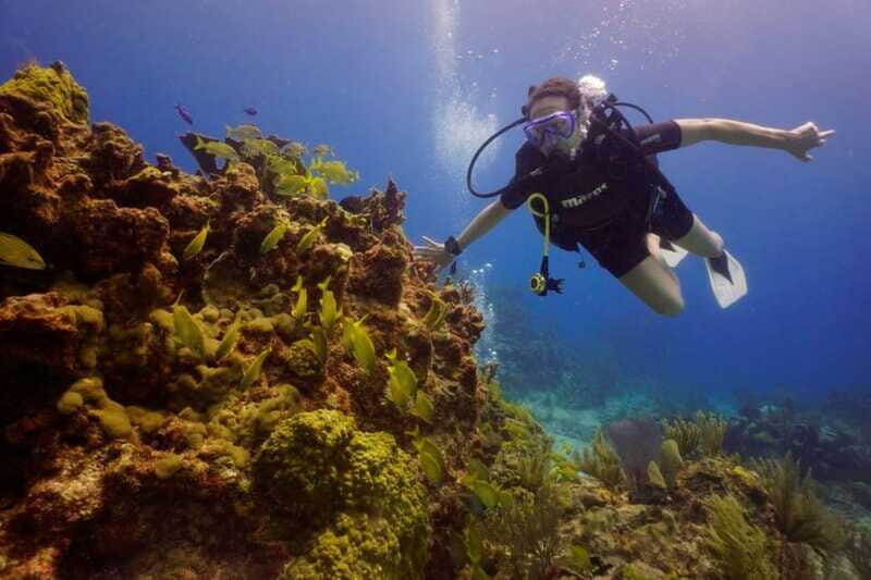 Cancun: MUSA Diving for certified divers morning dive trip - Isla Mujeres National Marine Park Reefs: Where the Fish Show Up