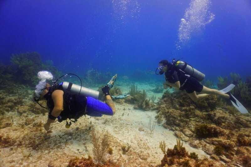 Cancun: MUSA Diving for certified divers morning dive trip - Equipment, Depth Limit, and Instructor Ratios That Affect Comfort