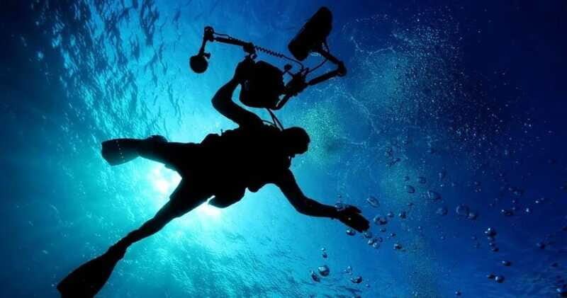 Cancun: MUSA Diving for certified divers morning dive trip - Should You Book This MUSA Trip? My Call