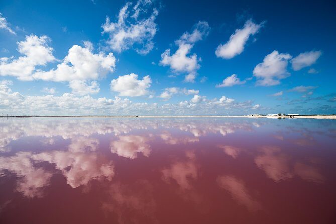 Cancun tour Las Coloradas Pink Lagoon + Rio Lagartos Tour - Food on a 14-Hour Schedule: Breakfast, Lunch, and Real Breaks