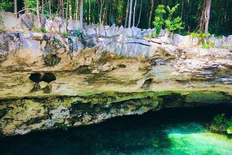 Casa Tortuga Park: Cenote Tour - Four Cenotes, Four Different Stops: Wisho, Jaguar, Tres Zapotes, Tres Campanas