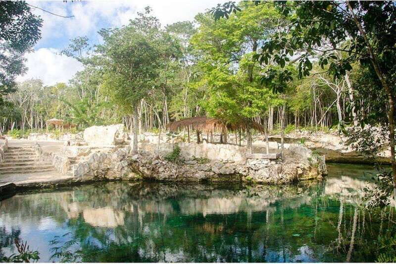 Casa Tortuga Park: Cenote Tour - Snorkeling, Marine Life, and the Gear You Actually Need