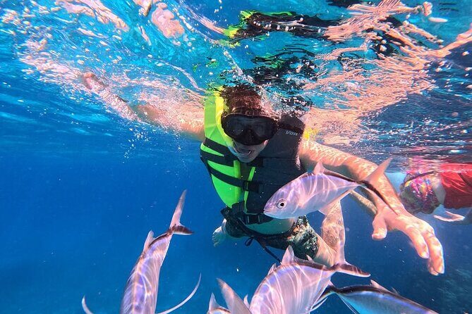 Catamaran in Cozumel with snorkeling at El Cielo and open Bar - Price and the real value of $38.50 (plus the 500 MXN dock fee)