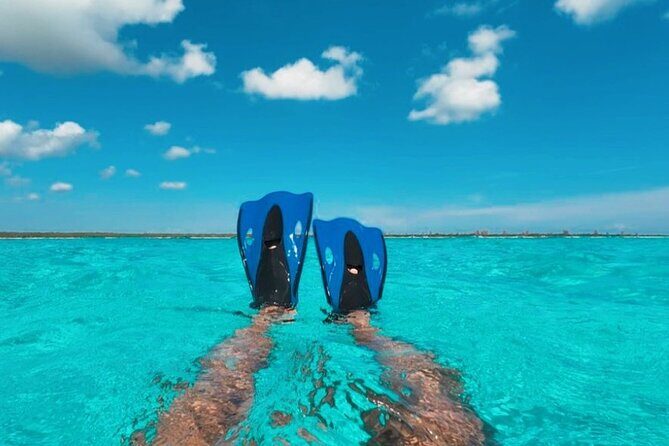 Catamaran in Cozumel with snorkeling at El Cielo and open Bar - Stop 3: El Cielito sandbank (40–60 minutes with manta rays)