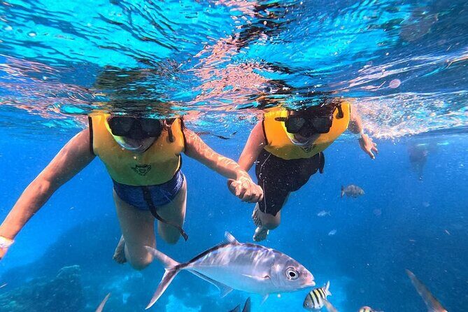 Catamaran in Cozumel with snorkeling at El Cielo and open Bar - Food onboard: grilled chicken, rice, and fresh seasonal fruit