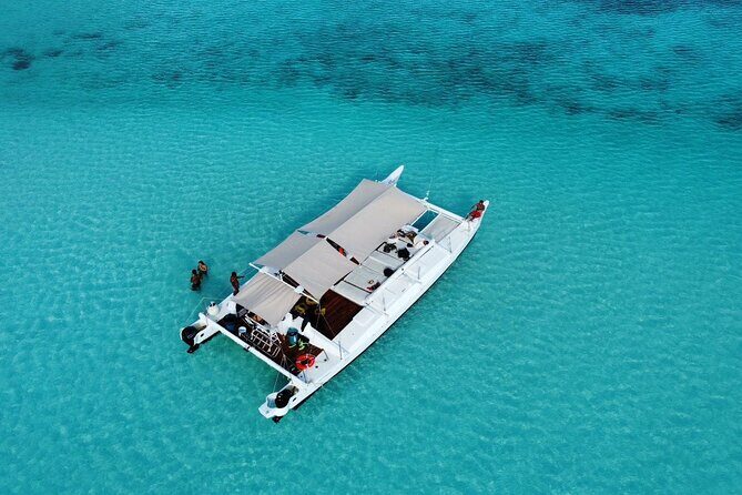 Catamaran Snorkeling to El Cielo and The Money Bar Beach Club - Key things I’d mark on your planning checklist