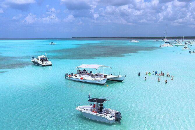 Catamaran Snorkeling to El Cielo and The Money Bar Beach Club - El Cielo: starfish flats and the “stand-in-place” snorkeling experience