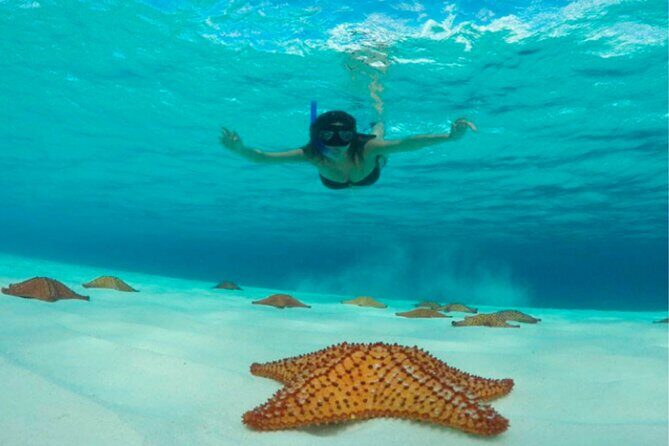 Catamaran Snorkeling to El Cielo and The Money Bar Beach Club - The catamaran ride: small group perks, older-boat tradeoffs, and real timing