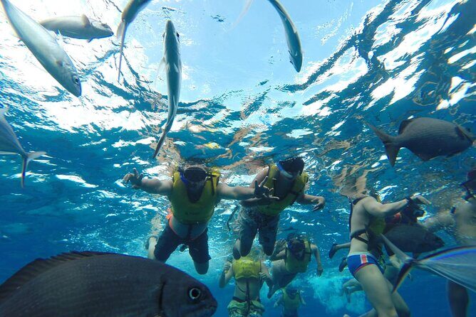 Catamaran Snorkeling to El Cielo and The Money Bar Beach Club - Drinks, snacks, and the beach-club money math