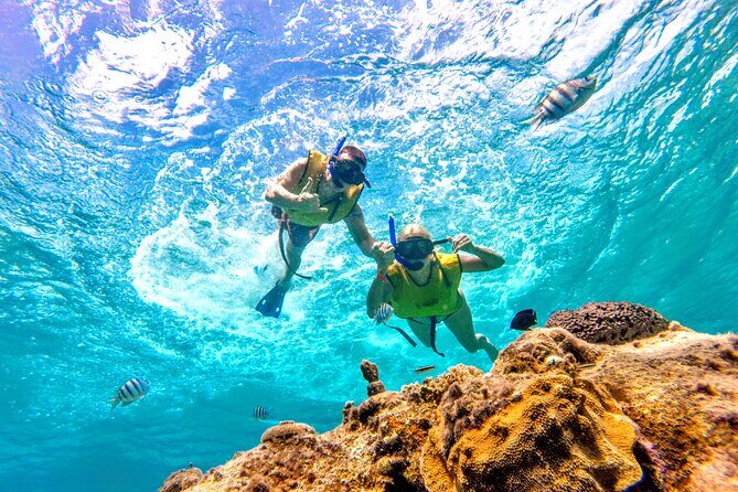 Catamaran Snorkeling to El Cielo and The Money Bar Beach Club - Who should book this, and who should skip it