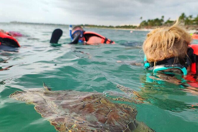 Cenote and Swimming with Turtles Private Tour in Akumal - Cenote Taak Bi Ha: underground water and jungle rock