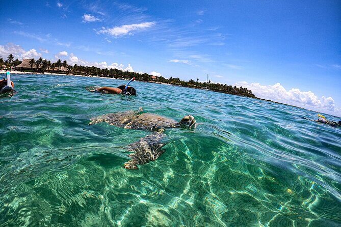 Cenote and Swimming with Turtles Private Tour in Akumal - What’s included (and why it matters for value)