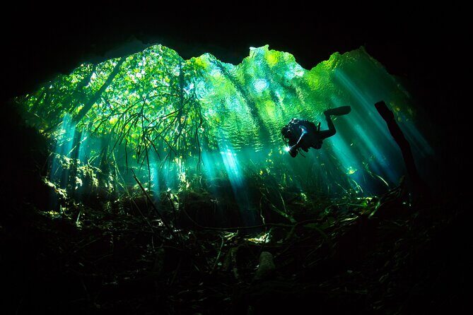Cenote Diving - 2 Tank Dive Trip for Certified Divers - Getting to the Cenote: 8:00 AM Start and the 45-Minute Ride