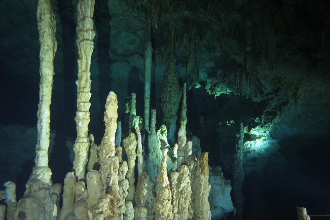 Cenote diving Dream Gate - Dream Gate Cenote: Why This Place Earns the Name