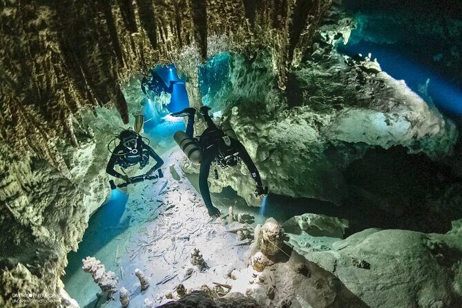Cenote diving Dream Gate - Price and Logistics: Is $195 Actually Good Value?