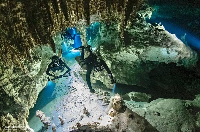 Cenote diving Dream Gate - Who Should Book Dream Gate (and Who Might Want to Skip)