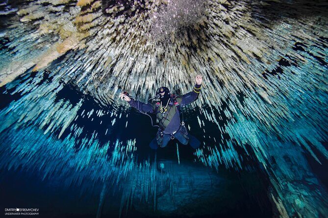 Cenote diving Dream Gate - Your Morning Plan: Pickup, Plaza Palmeiras, and the 5-Hour Flow