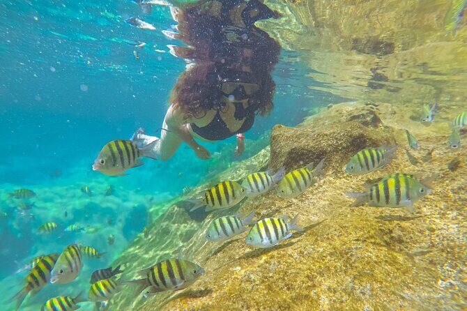 Cenote; Snorkeling and Photos with Colorful Fish - The 8:30 AM meet in Akumal and what happens next