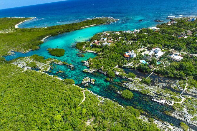 Cenote; Snorkeling and Photos with Colorful Fish - Who’s guiding your snorkel: Martín or Melqui