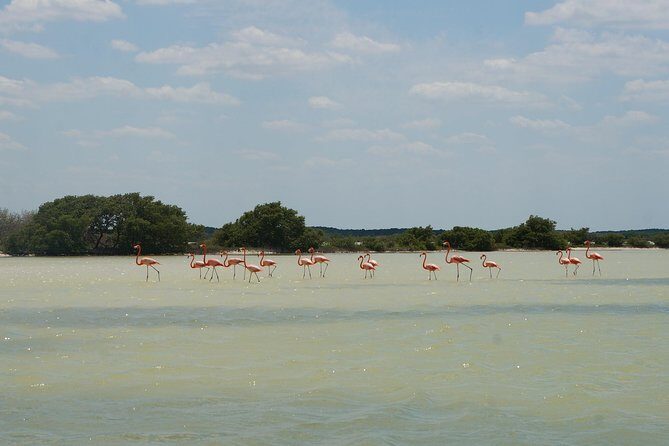Cenote Suytun & Rio Lagartos & Las Coloradas - Your guide in the spotlight: Paolina/Polina and the photo help