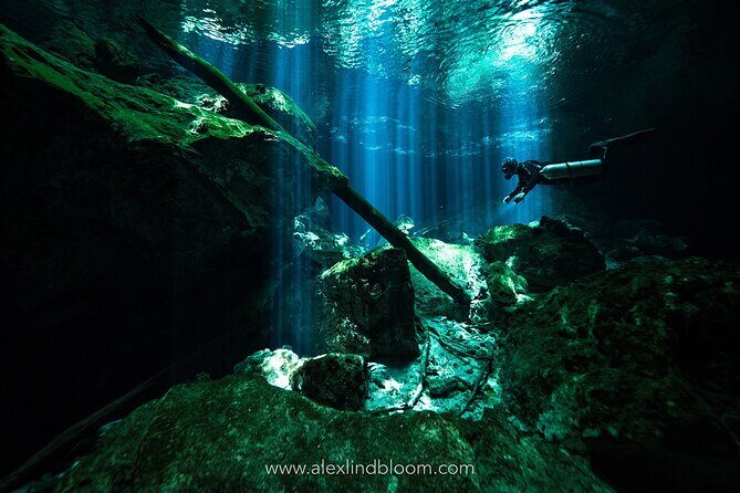 Cenotes 2-Day Scuba Diving Package in the Riviera Maya - Two Days, Two Worlds: Reef Life Above and Cenote Caverns Below