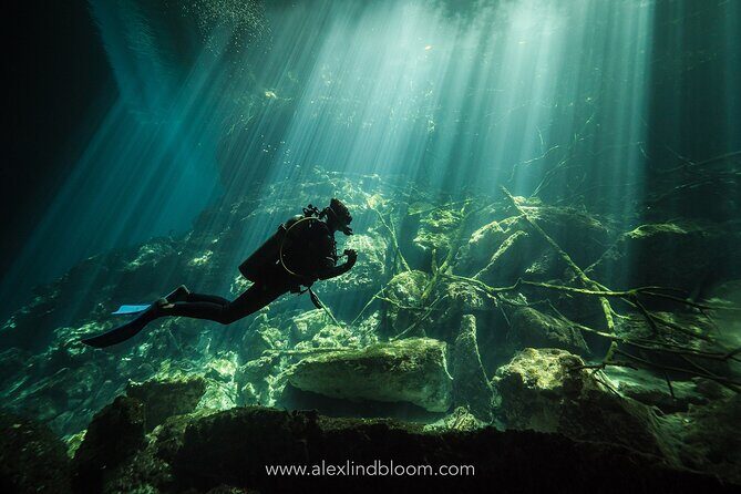 Cenotes 2-Day Scuba Diving Package in the Riviera Maya - Price and value: what $351 covers (and what it doesn’t)