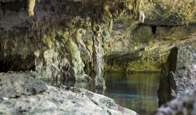 Cenotes 2-Tank Dive in Playa del Carmen/for certified divers only - Key points that matter before you go