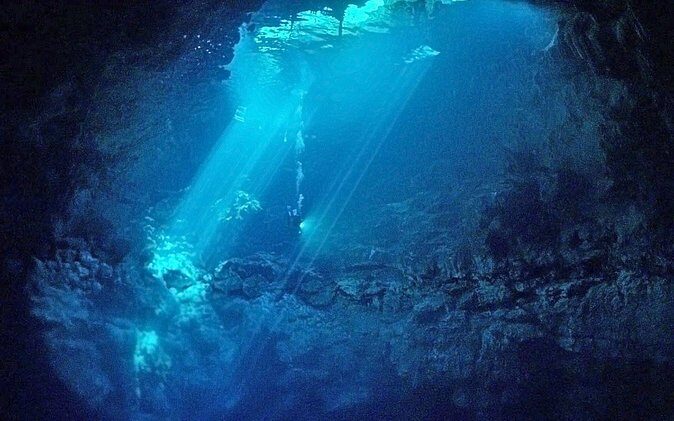 Cenotes 2-Tank Dive in Playa del Carmen/for certified divers only - How this small group and certification-only rule changes your day