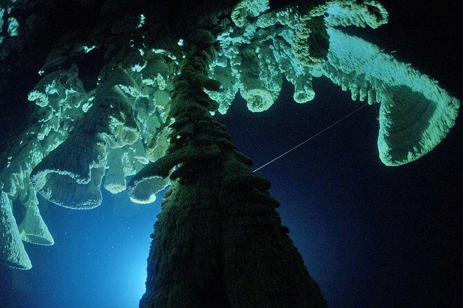 Cenotes 2-Tank Dive in Playa del Carmen/for certified divers only - Gear and what to pack so you aren’t paying twice
