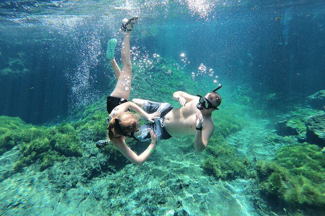 Cenotes by Bike and Mayan Cooking Class Half-Day Guided Tour - Preparing Cochinita Pibil the Mayan Way (And Why It Matters)