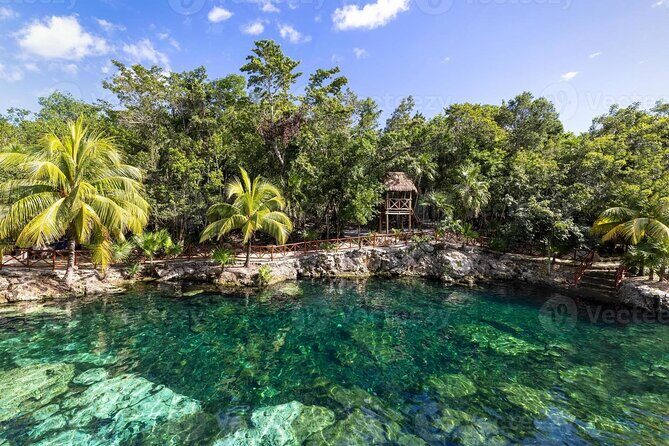 Cenotes Casa Tortuga: 4 Cenotes Day Pass - Key highlights to know before you go