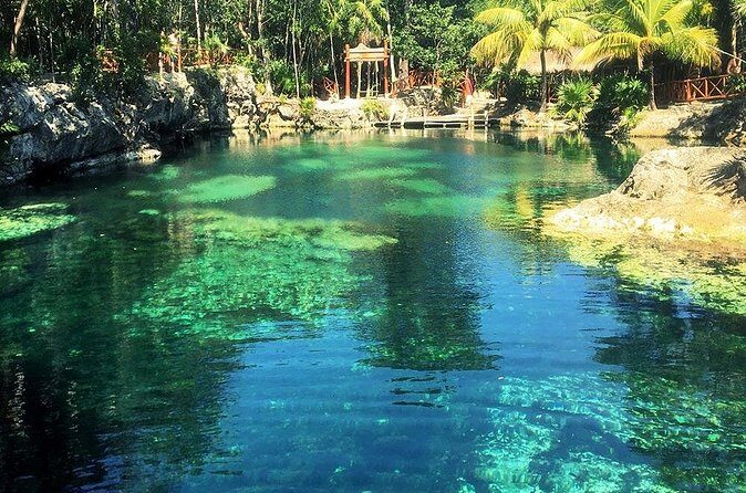 Cenotes Casa Tortuga: 4 Cenotes Day Pass - Who This Is Best For (Families, Couples, and Active Groups)