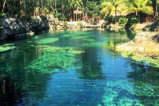 Cenotes Casa Tortuga: 4 Cenotes Day Pass - Price and Value: Is $20.85 Really a Good Deal?